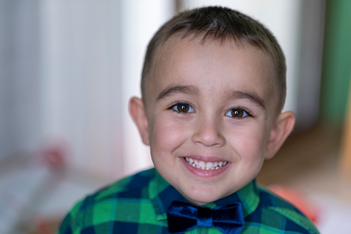 Young cute Boy Wearing Bow Tie Smiling