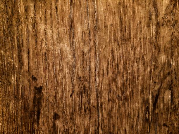 istock wooden background with textured abstract pattern. empty wooden background for text 1445385150