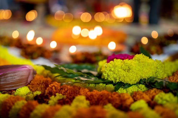 istock Flowers and lights bokeh 1445385152