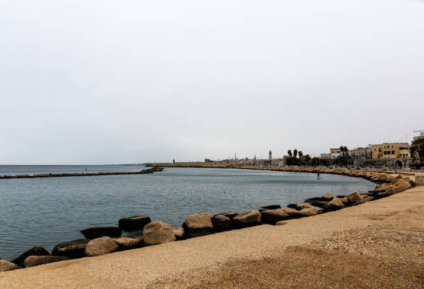 istock Bay and shore in the city 1445391574