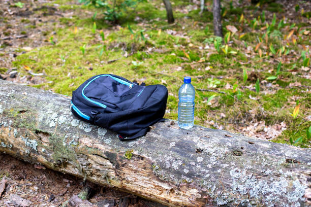 istock Things in a backpack and a bottle of water are on a tree in the forest. Concept kit for survival in the forest. 1445391765