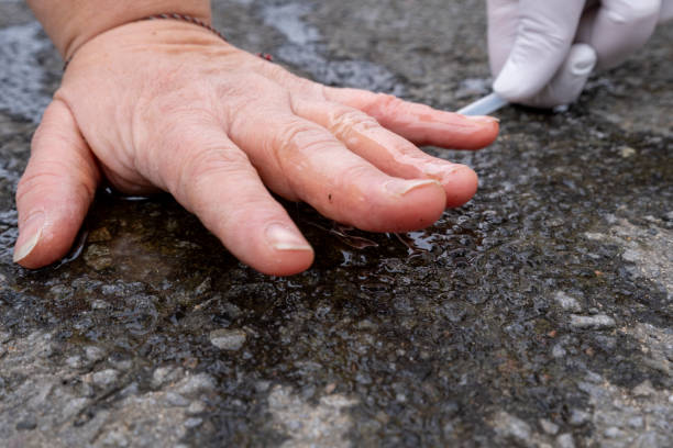 Climate activist stuck her hand on asphalt. stock photo