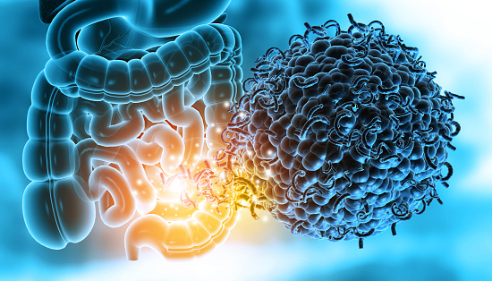 Human colon with microbiome, bacteria. 3d illustration