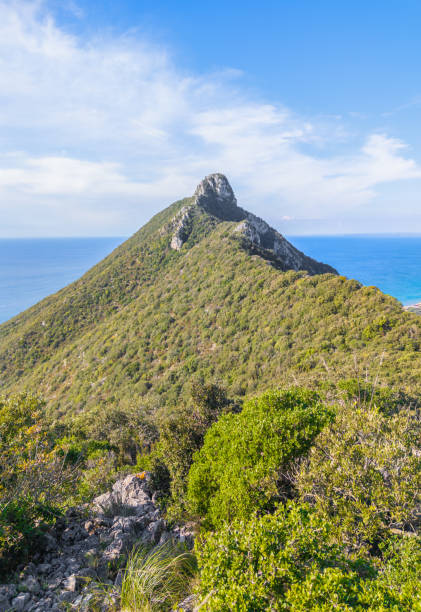 Mount Circeo (Latina, Italy) The famous mountain on the Tirreno sea, in the province of Latina, very popular with hikers for its beautiful landscapes. sabaudia stock pictures, royalty-free photos & images