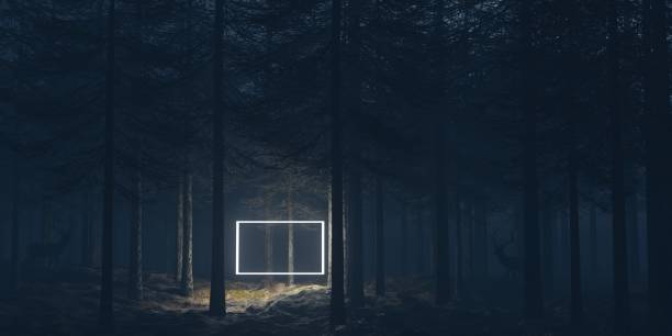 istock forest nature concept outdoor tree night dream art window lignt 3d render illustration wallpaper background 1445398721
