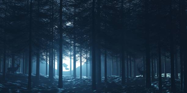 istock forest dark fulmoon moonlight nature tree nigt deer 3d render illustration 1445398729
