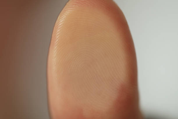 흐릿한 배경에 지문을 스캔하는 사람의 근접 촬영 보기 - biometrics touching glass fingerprint 뉴스 사진 이미지