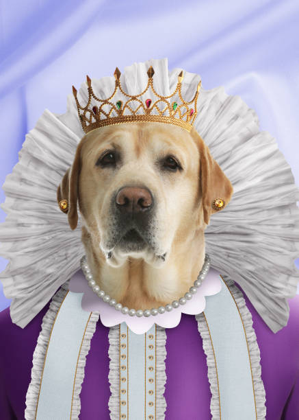 istock Cute dog dressed like royal person against light blue background 1445400949