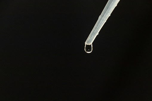A drop of liquid dripping from the tip of a plastic tube