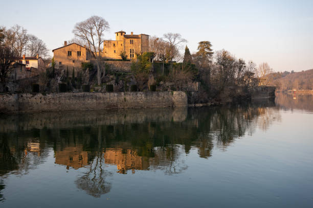 istock Barbe Island in winter (Lyon-France) 1445407263