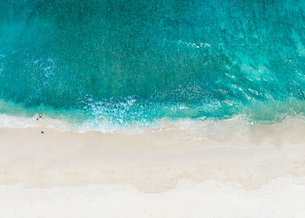 istock The ecology system with a wave water energy on the beach with a summer tropical background , Aerial view 1445409661