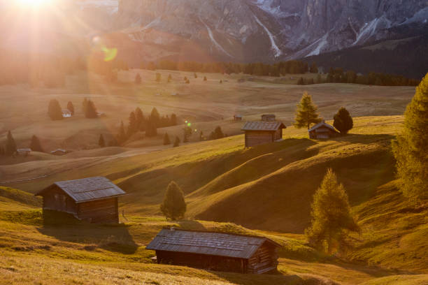 istock Alpe di Siusi, South Tyrol, Italy 1445410146