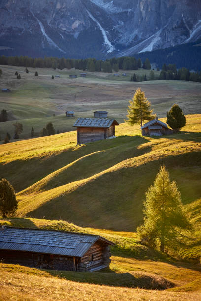 istock Alpe di Siusi, South Tyrol, Italy 1445410251