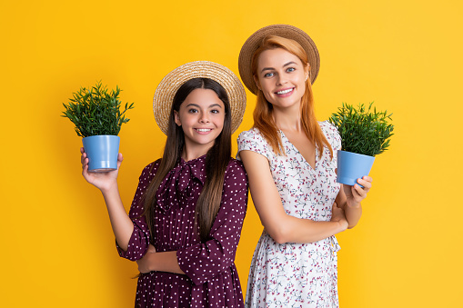 glad mother and daughter with potted plant on yellow background.