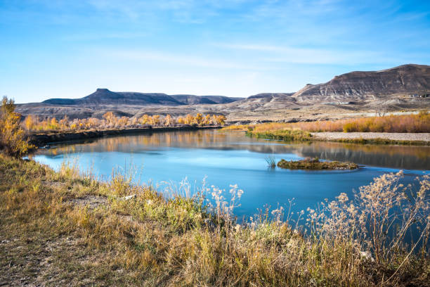 istock Beautiful autumn river landscape 1445411892