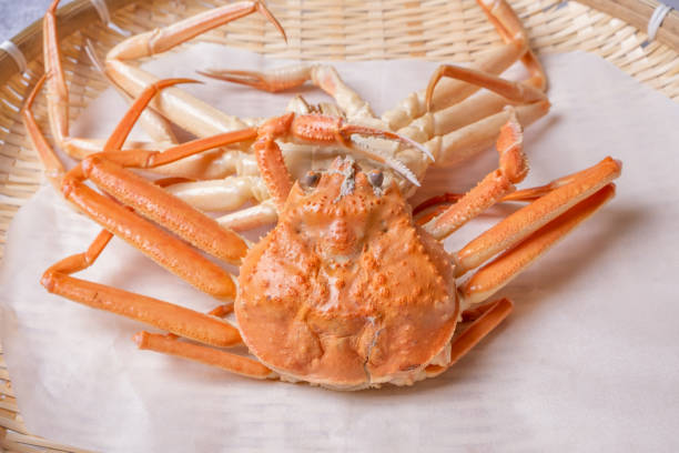 istock Korean Style Steamed Snow Crab 1445412455