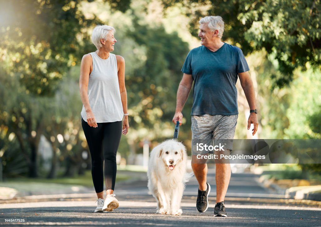 Retirement, fitness and walking with dog and couple in neighborhood park for relax, health and sports workout. Love, wellness and pet with old man and senior woman in outdoor morning walk together Walking Stock Photo