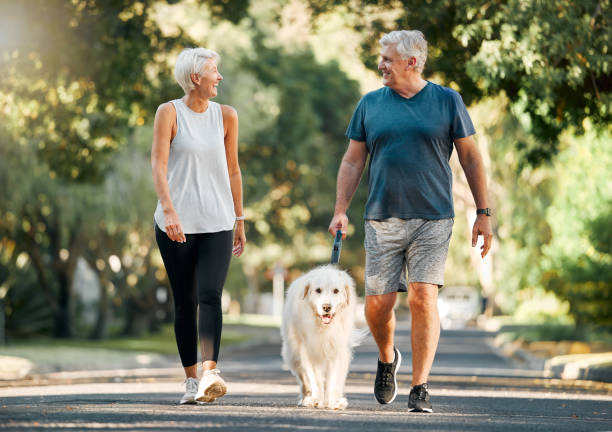 Retirement, fitness and walking with dog and couple in neighborhood park for relax, health and sports workout. Love, wellness and pet with old man and senior woman in outdoor morning walk together stock photo