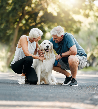 Dog walk, nature and senior couple walking their pet for exercise on a road in Germany together. Happy, calm and healthy elderly man and woman training their animal on a street park in summer