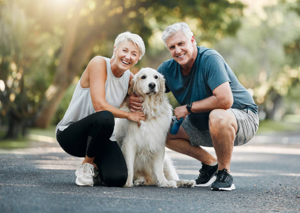 happy senior couple, walking dog in nature park and smile bonding with their golden retriever together. healthy living in retirement, being physically active by exercising and relaxing time with pet - dog walking retriever golden retriever imagens e fotografias de stock