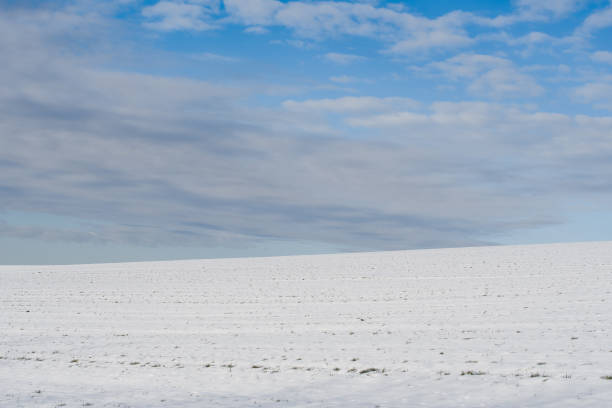 istock beautiful winter landscape 1445417588