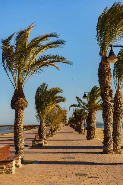 istock Walking path area at San Pedro del Pinatar, Spain 1445422562
