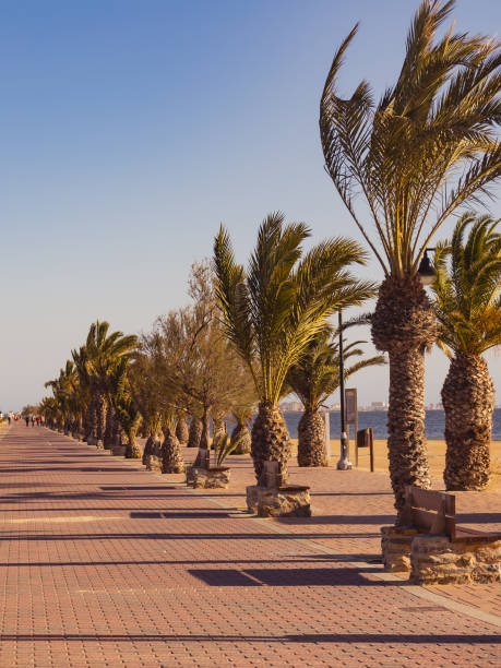 istock Walking path area at San Pedro del Pinatar, Spain 1445422672