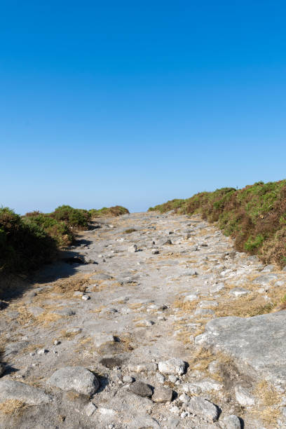 istock Rocky road through gorse in the mountain 1445422753