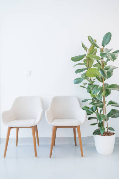 wooden chair alignment in a waiting room