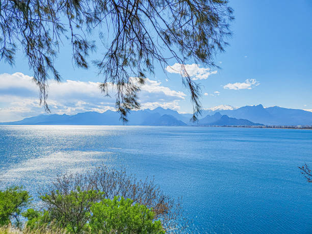 istock Sea and mountains with trees in the foreground 1445426658