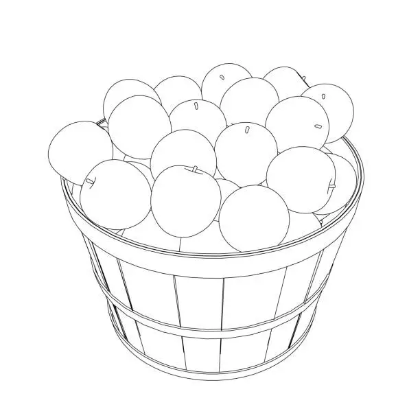 Vector illustration of Outline of a pile of apples in a bucket from black lines isolated on a white background. Isometric view. 3D. Vector illustration.