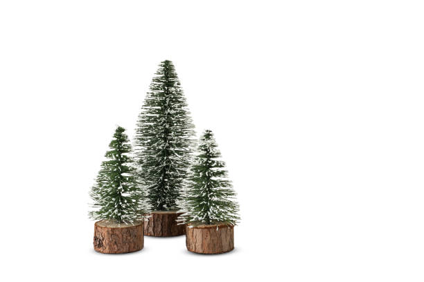 Mini Christmas trees isolated on white background. Three small decorative Christmas trees on wood isolated on white background. Studio shot. Home decoration. artificial snow stock pictures, royalty-free photos & images