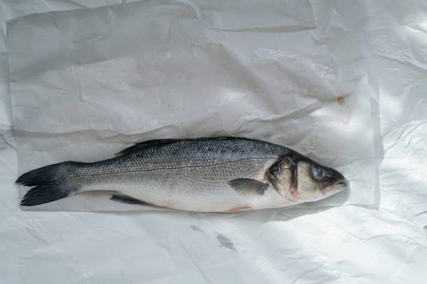 istock Fresh trout from the fishmarket 1445431156