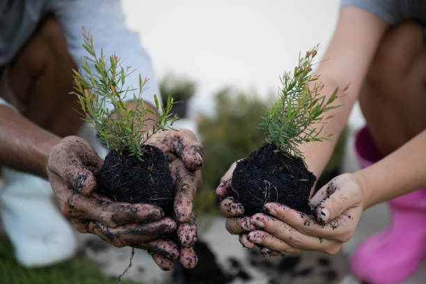 Father and daughter planting trees.