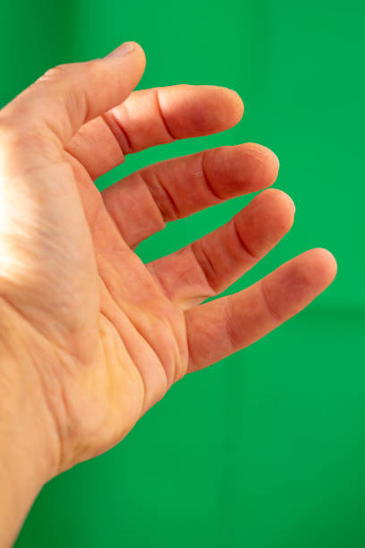 istock open human palm with 5 fingers under green background. 1445443795