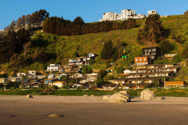 Maitencillo in the cost of central Chile