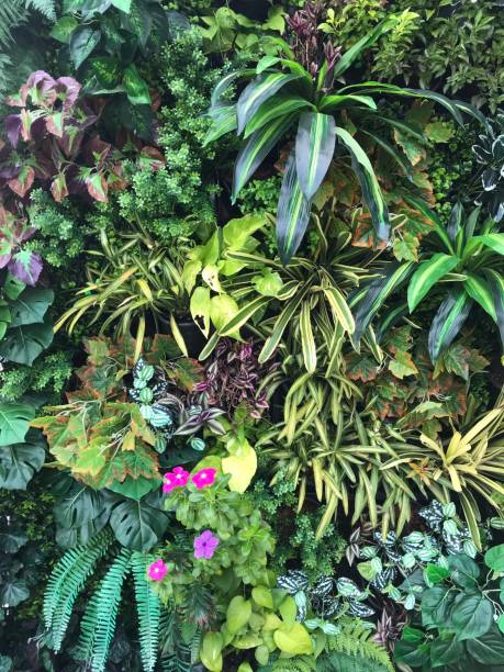 istock Plant and flower wall 1445449836