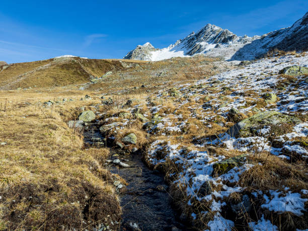 istock Small stream flowing down from the snowcapped mountains 1445449859