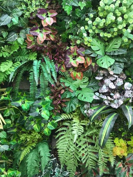 istock Plant and flower wall background 1445450031