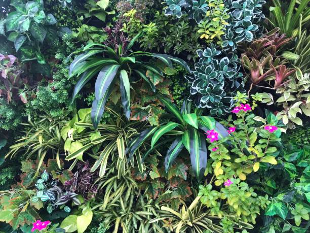 istock Plant and flower wall background 1445450563