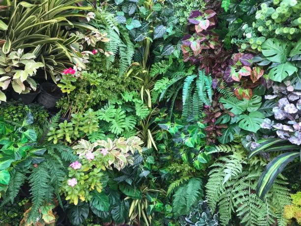 istock Plant and flower wall background 1445451033