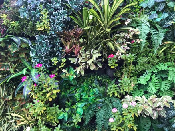 istock Plant and flower wall background 1445451263