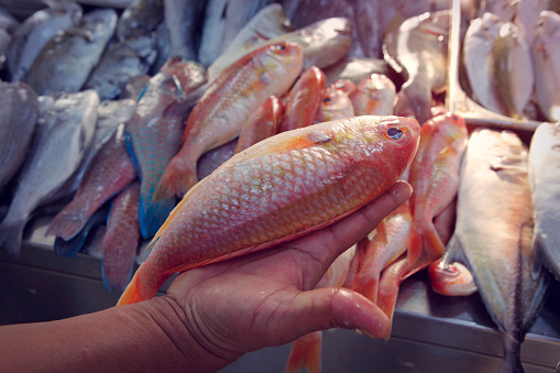 Fish for sale in vendors hand on the market at Ras Al Khaimah