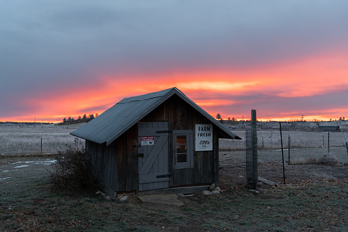 Sunrise over one of a kind hand made chicken shed on the prairie of Golden Valley county, Montana, USA