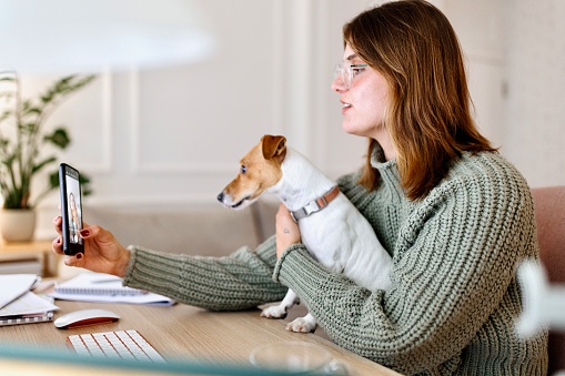 Woman working at home office with dog in her lap
