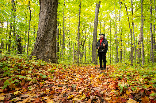 Active healthy man hiking in beautiful autumn forest in a national park