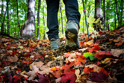 Active healthy man hiking in beautiful autumn forest in a national park