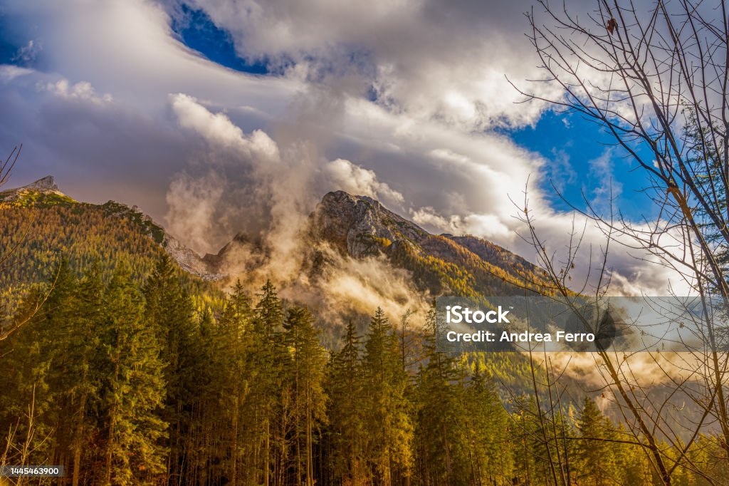 Forest with mountain in the background Bosco nelle alpi bavaresi con montagna sullo sfondo in autunno. Autumn Stock Photo