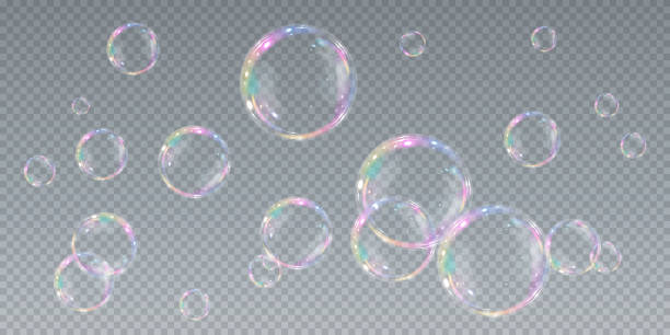 현실적인 비누 거품 수집. 거품은 투명한 배경에 있습니다. 벡터 비행 비누 거품. 버블 png 워터 글라스 버블 현실적인 png - water drop bubble bubble wand stock illustrations