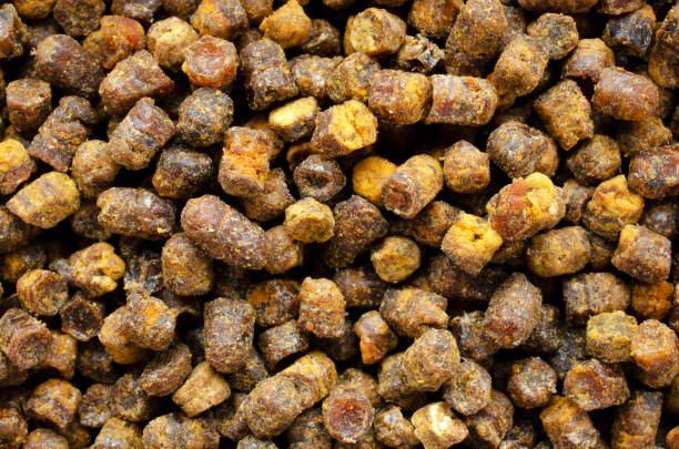 istock Top view of bee pollen. Bee perga, background, texture. Perga top view. Sperfood bee perga, background, texture, top view. 1445464633